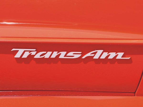 PONTIAC TRANS AM DOOR EMBLEM OVERLAY DECALS FITS 93-02