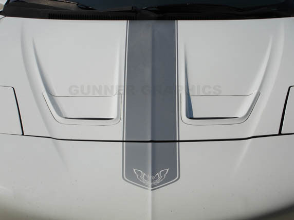 Trans AM Hood and Spoiler Stripe Kit 93-97  W/T-TOP Roof Stripe